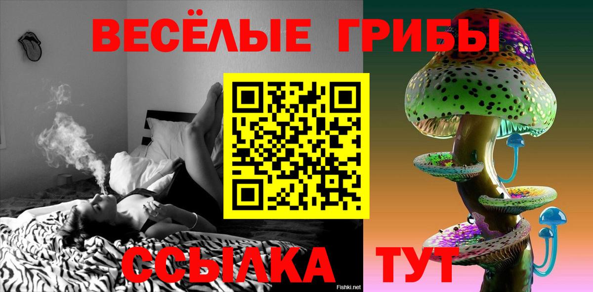 Новоалтайск  Псилоцибиновые грибы MAGIC MUSHROOMS  Вход с VPN  Галлюциногенные грибы прущие грибы 