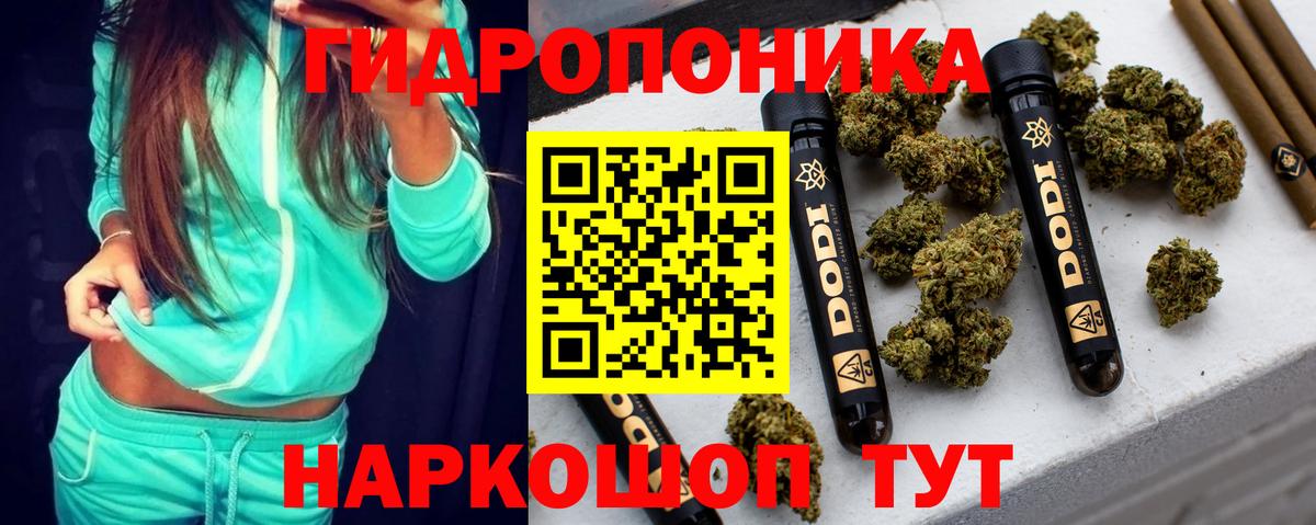 Канабис OG Kush  Вход с VPN  Канабис OG Kush  Шишки марихуана White Widow  Новоалтайск 