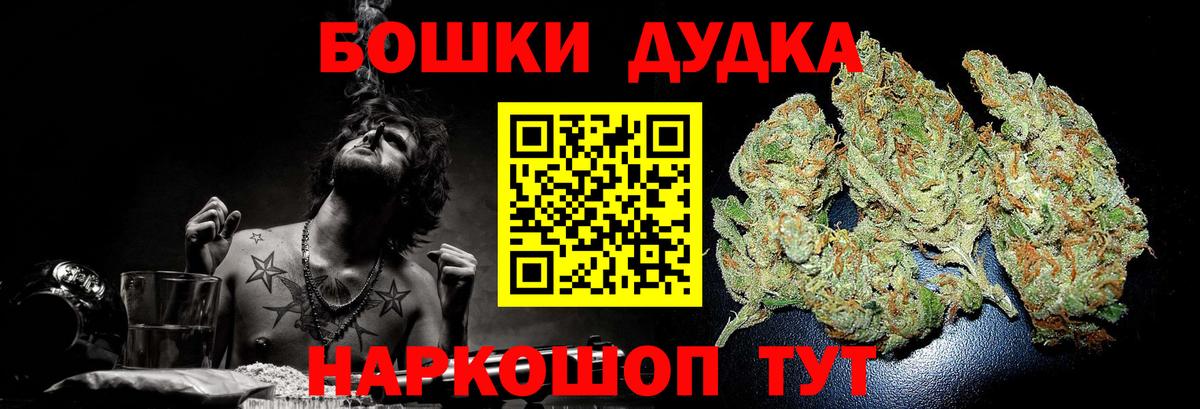 Бошки Шишки планчик Новоалтайск
